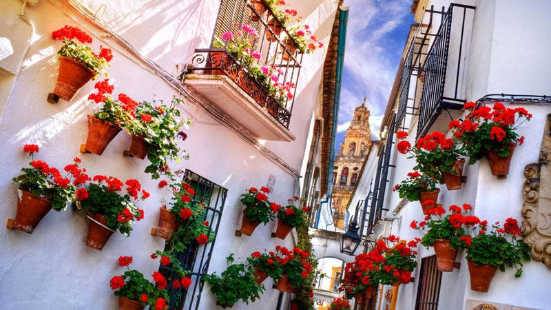 cordoba